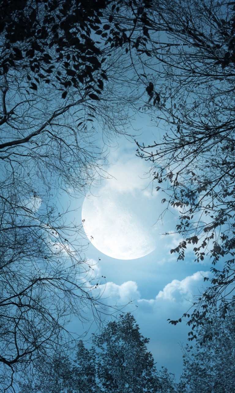 Das Full Moon Time Wallpaper 768x1280