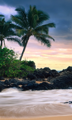 Das Hawaii Beach Wallpaper 240x400