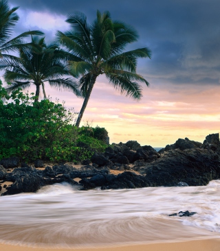 Hawaii Beach sfondi gratuiti per 640x960