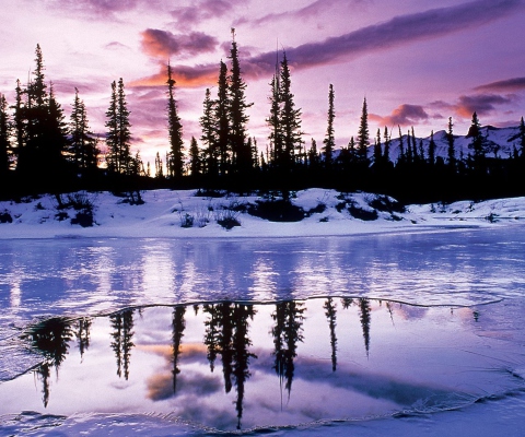 Winter Evening Landscape screenshot #1 480x400