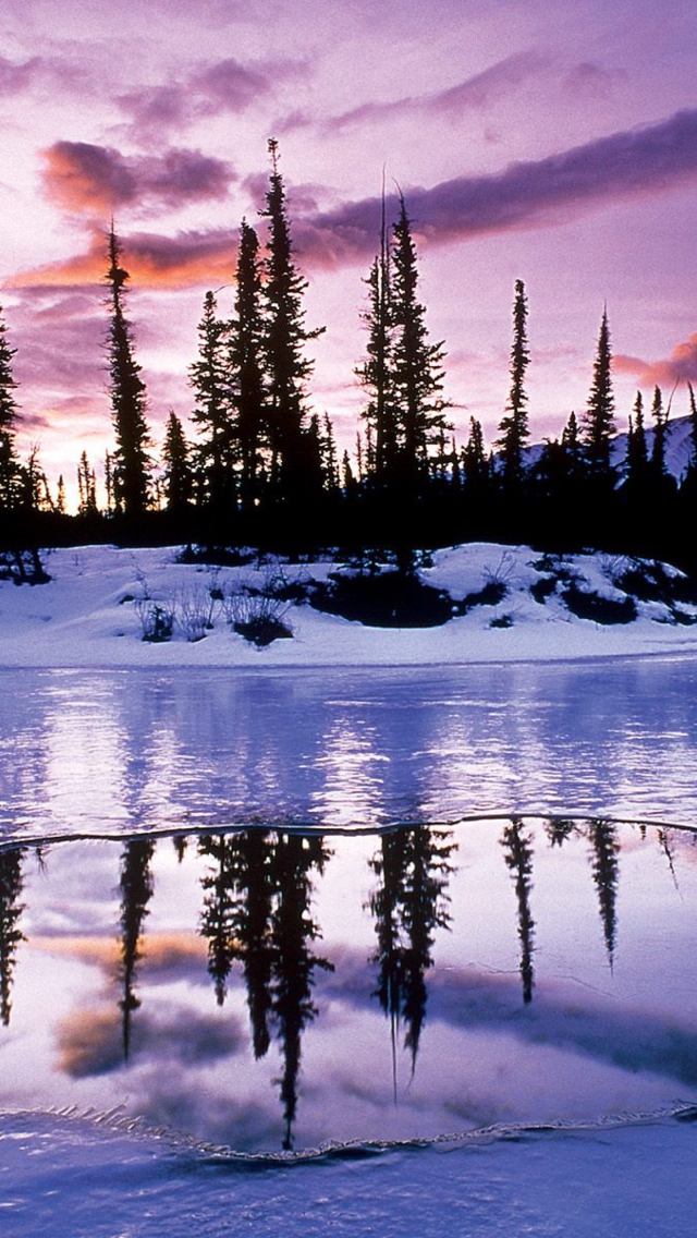 Winter Evening Landscape wallpaper 640x1136