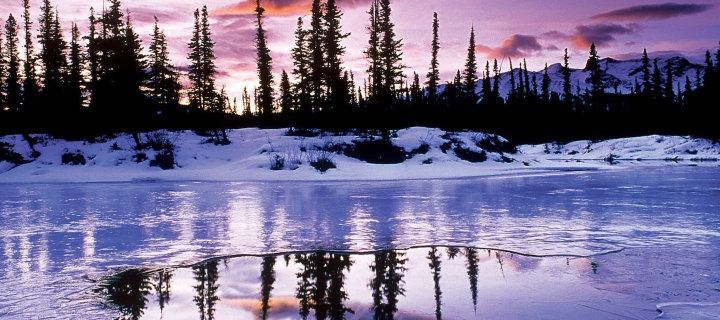 Screenshot №1 pro téma Winter Evening Landscape 720x320