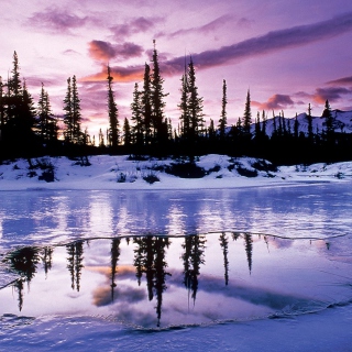 Winter Evening Landscape - Fondos de pantalla gratis para 128x128
