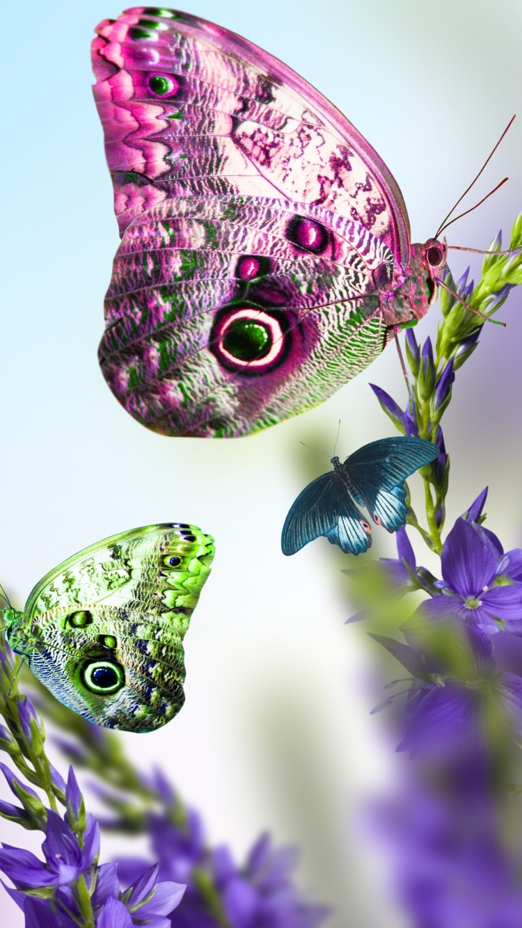 Screenshot №1 pro téma Tender Butterfly HD 750x1334