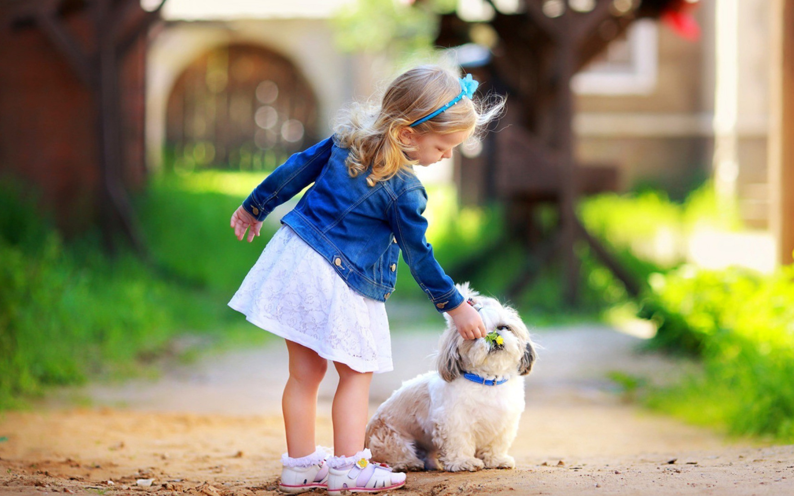 Обои Little Girl With Cute Puppy 2560x1600