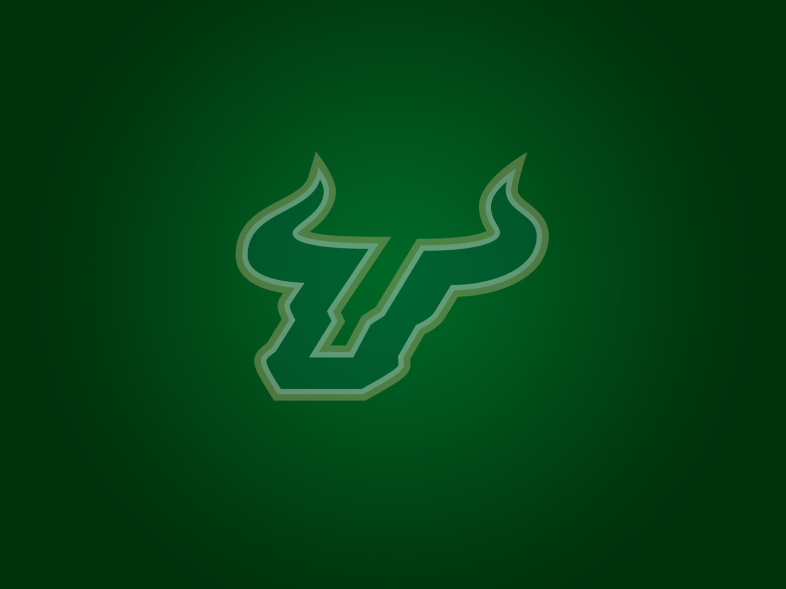 Screenshot №1 pro téma USF Bulls Club 1600x1200