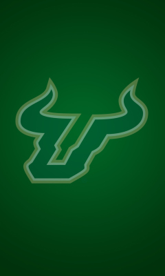 Screenshot №1 pro téma USF Bulls Club 240x400