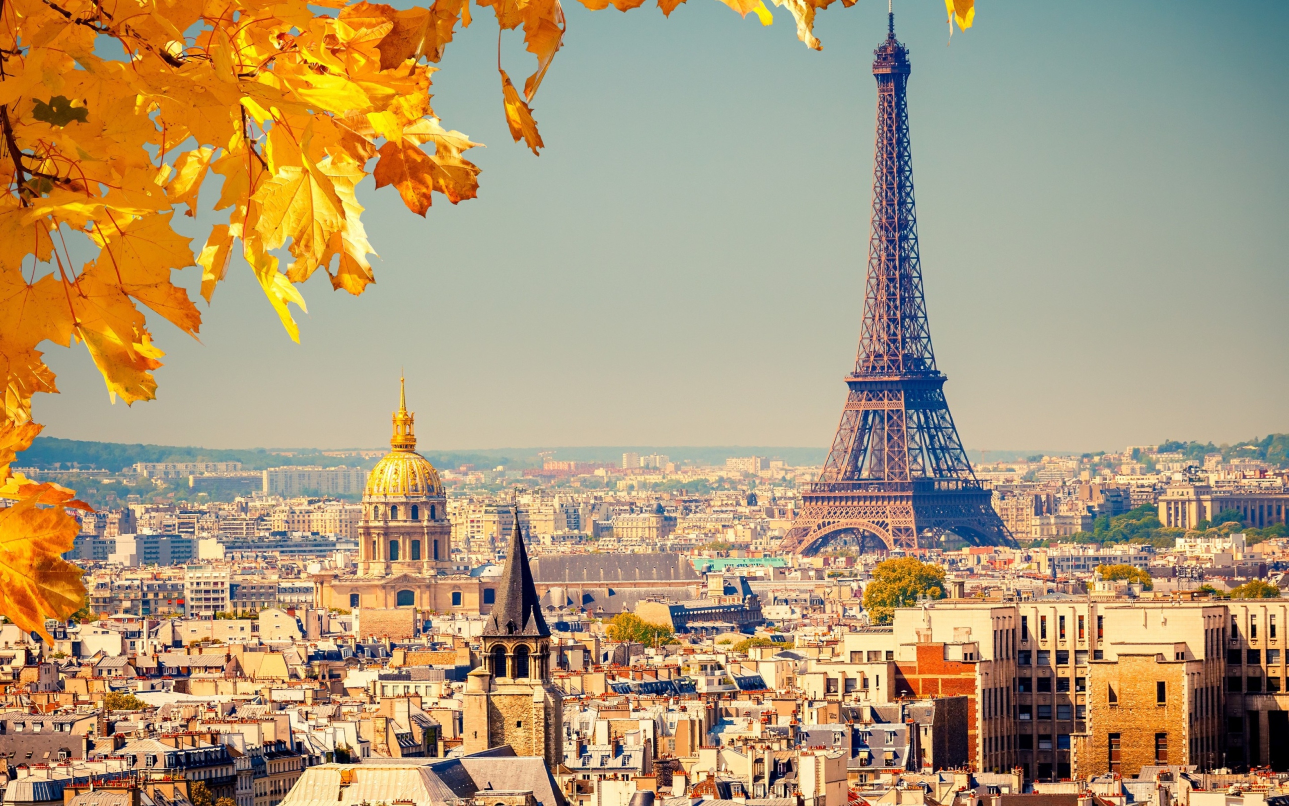 Screenshot №1 pro téma Paris In Autumn 2560x1600