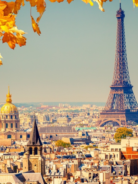Paris In Autumn wallpaper 480x640
