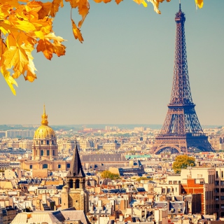 Kostenloses Paris In Autumn Wallpaper für 208x208