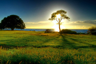 Romantic Sunset - Obrázkek zdarma pro HTC EVO 4G
