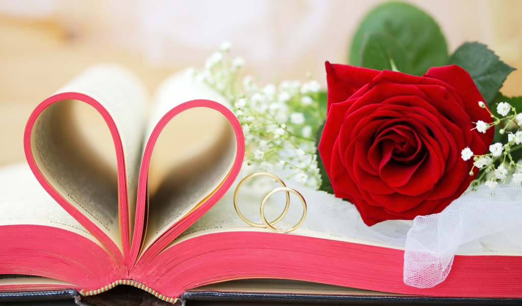 Wedding rings and book wallpaper 1024x600