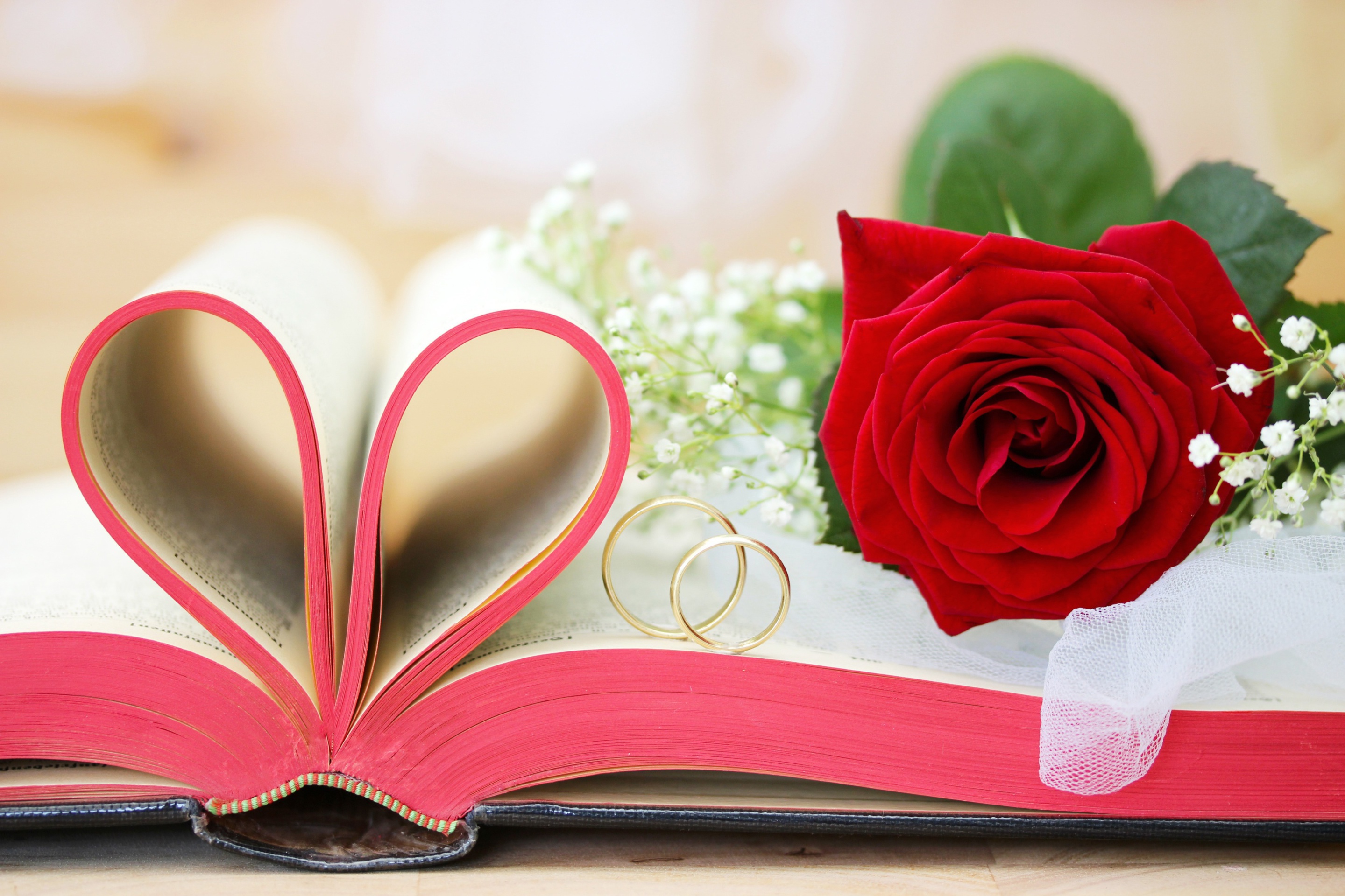 Wedding rings and book wallpaper 2880x1920