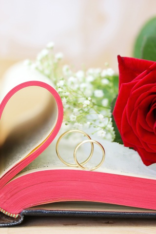 Wedding rings and book wallpaper 320x480