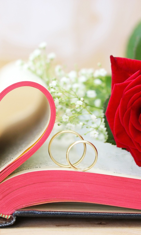 Wedding rings and book wallpaper 480x800
