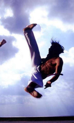 Screenshot №1 pro téma Capoeira 240x400