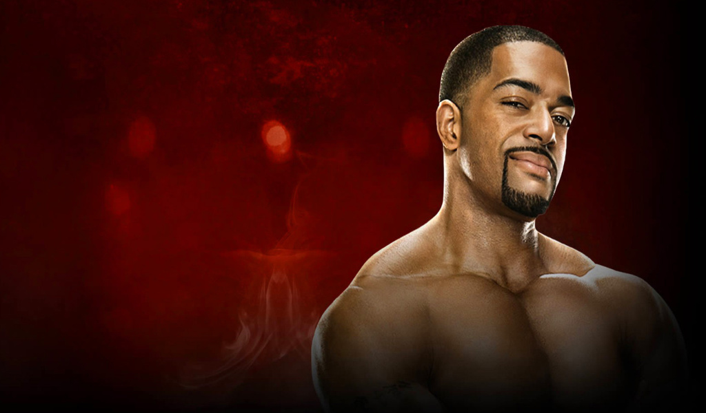 WWE Superstar David Otunga screenshot #1 1024x600