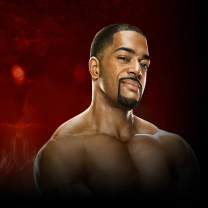 WWE Superstar David Otunga wallpaper 208x208