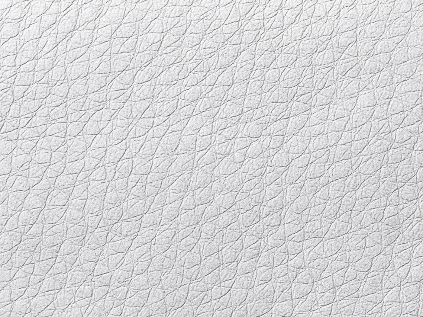 White Leather screenshot #1 1400x1050