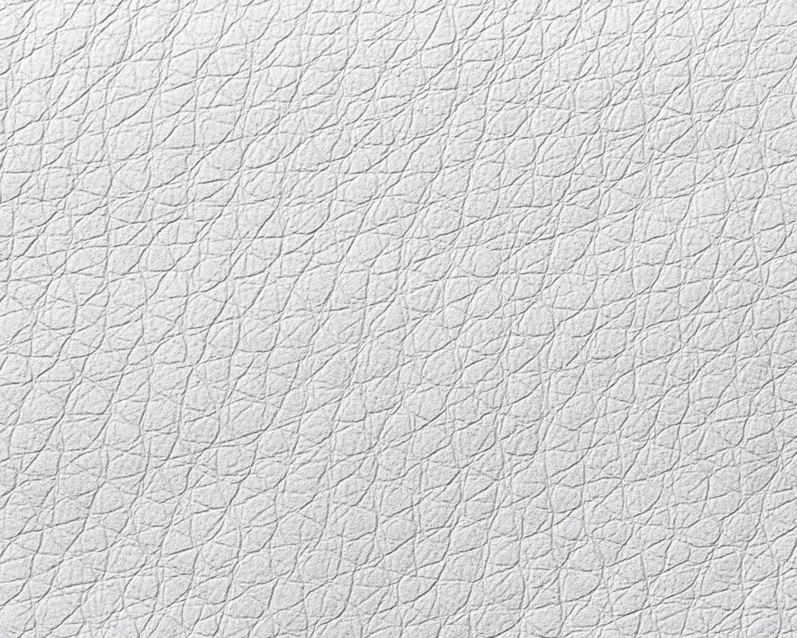 Screenshot №1 pro téma White Leather 1600x1280