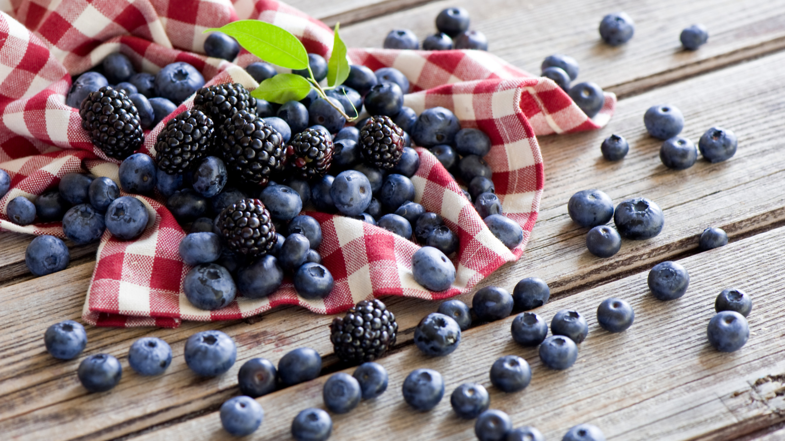 Sfondi Blueberries And Blackberries 1600x900