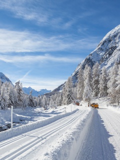 Screenshot №1 pro téma Snow-covered Road 240x320