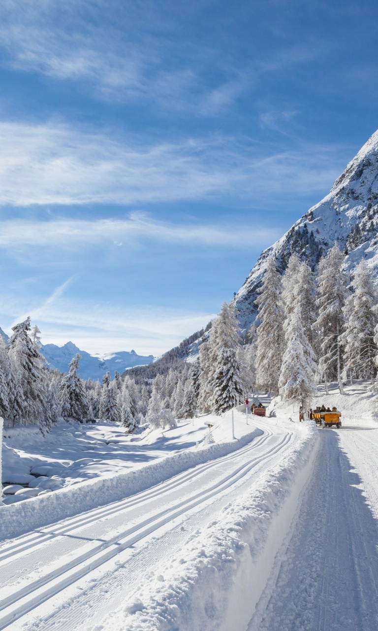 Fondo de pantalla Snow-covered Road 768x1280