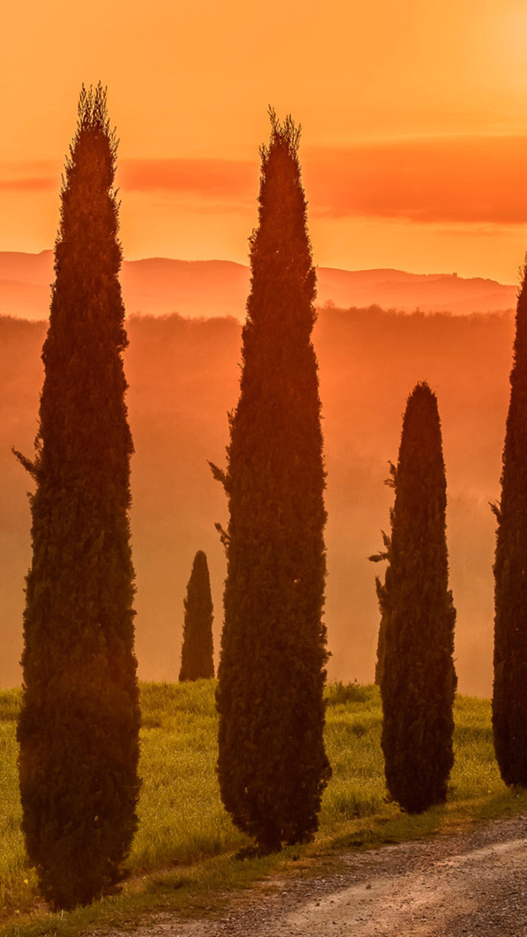 Fondo de pantalla Tuscany Valley Autumn 1080x1920