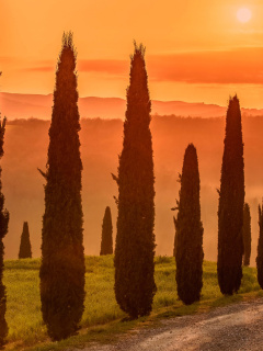 Tuscany Valley Autumn screenshot #1 240x320