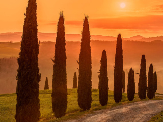 Tuscany Valley Autumn wallpaper 320x240