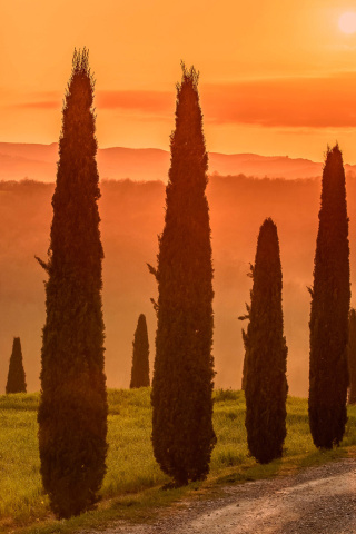 Das Tuscany Valley Autumn Wallpaper 320x480