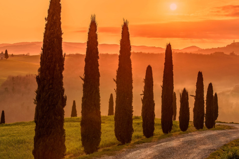 Fondo de pantalla Tuscany Valley Autumn 480x320