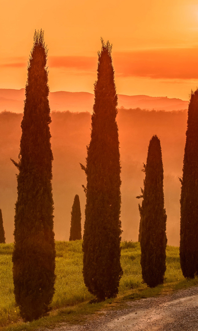 Das Tuscany Valley Autumn Wallpaper 768x1280