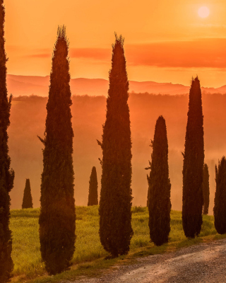 Kostenloses Tuscany Valley Autumn Wallpaper für 360x640