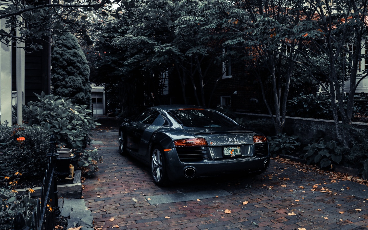 Sfondi Audi R8 Black V10 1280x800