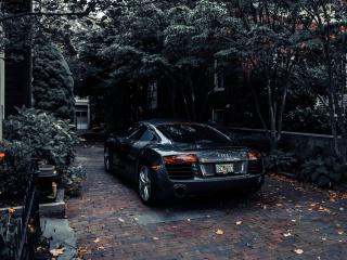 Audi R8 Black V10 screenshot #1 320x240