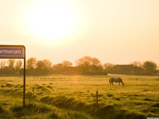 Screenshot №1 pro téma Village In The Morning 320x240