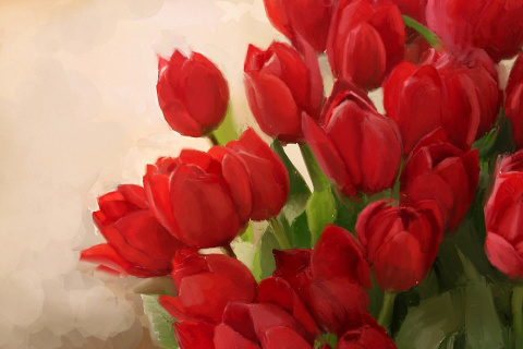 Screenshot №1 pro téma Art Red Tulips 480x320