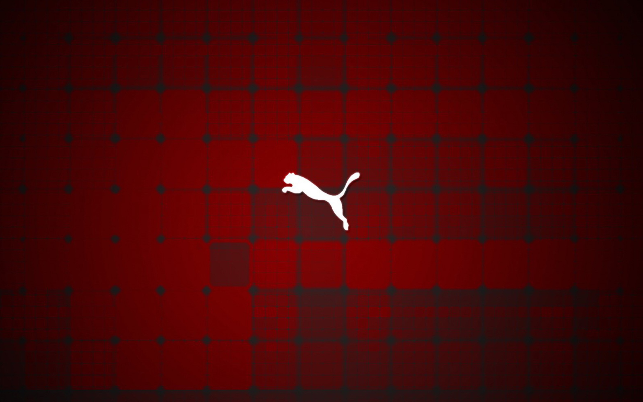 Puma Logo wallpaper 2560x1600