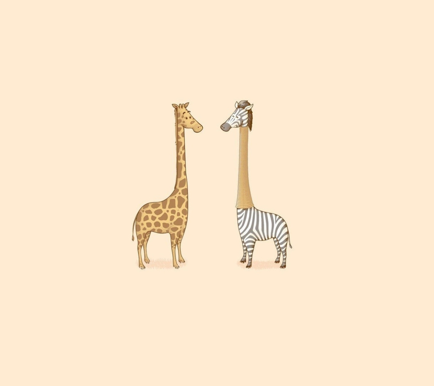 Fondo de pantalla Giraffe-Zebra 1440x1280