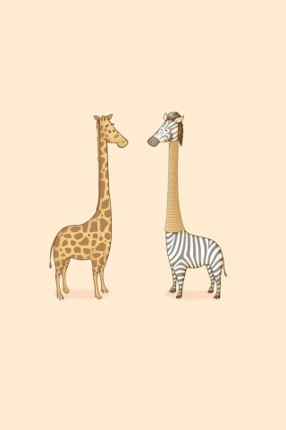 Giraffe-Zebra wallpaper 320x480