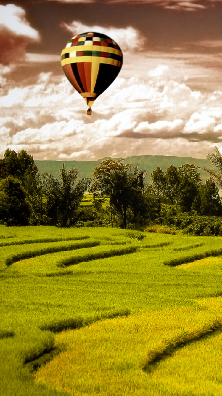 Sfondi Green Field Landscape 750x1334