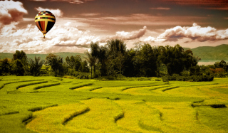 Green Field Landscape - Obrázkek zdarma 