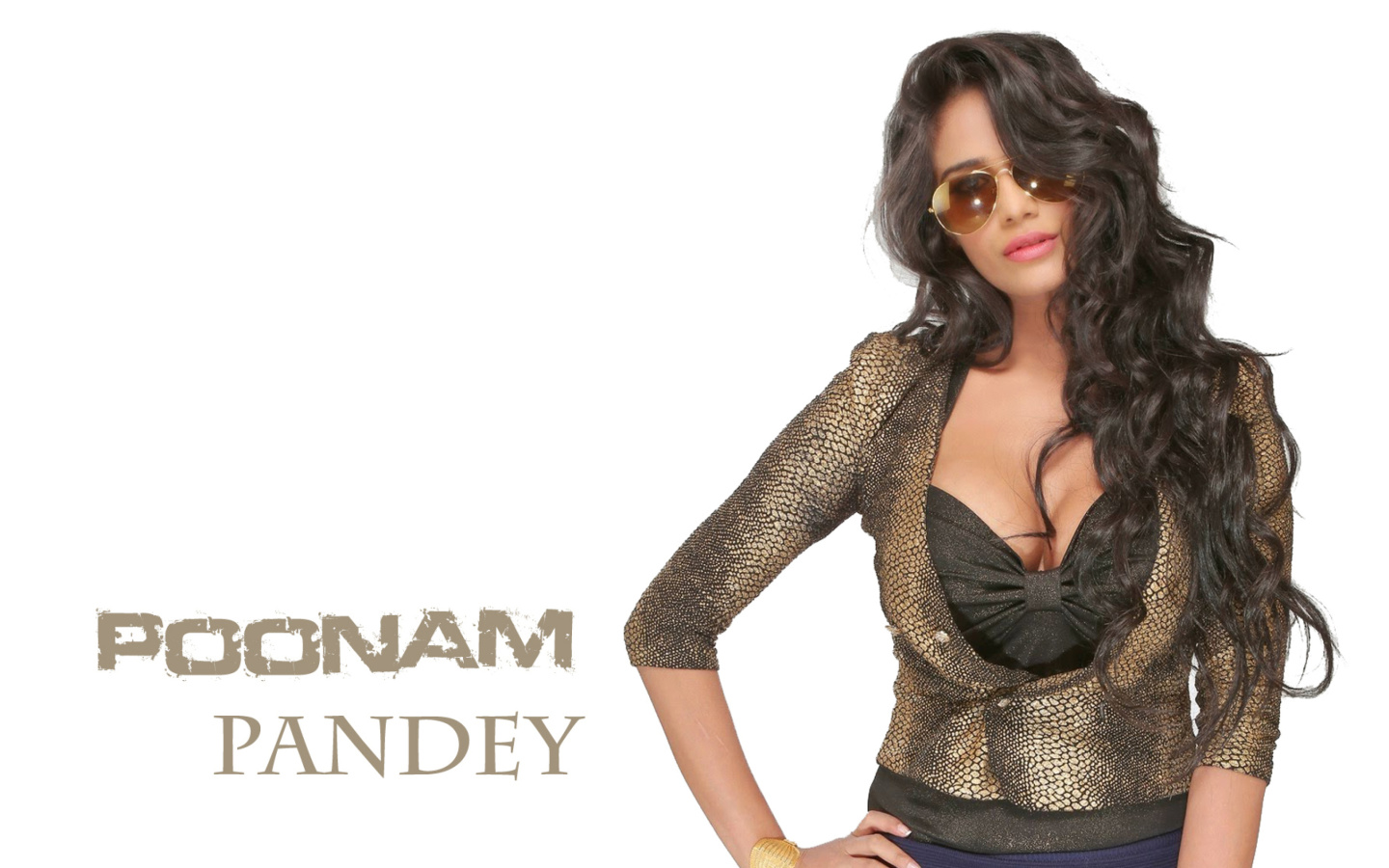 Fondo de pantalla Poonam Pandey 1440x900