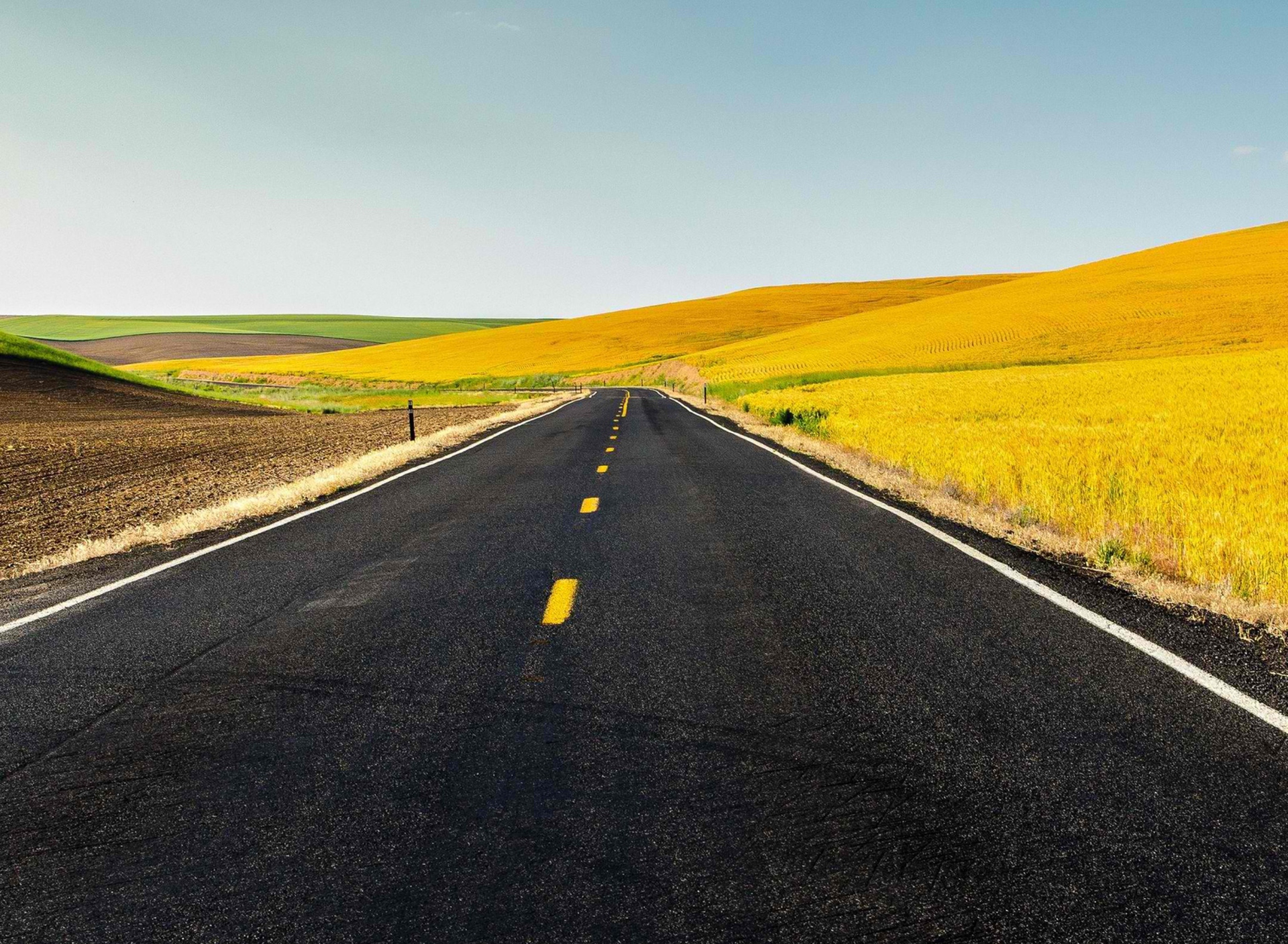 Das Road And Autumn Field Wallpaper 1920x1408