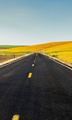 Sfondi Road And Autumn Field 240x400