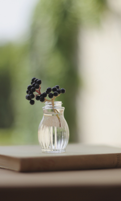 Little Vase And Berry Branch wallpaper 480x800