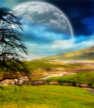 Calm Landscape - Obrázkek zdarma pro 768x1280
