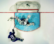 Screenshot №1 pro téma Vancouver Canucks Goal and Goalkeeper 176x144