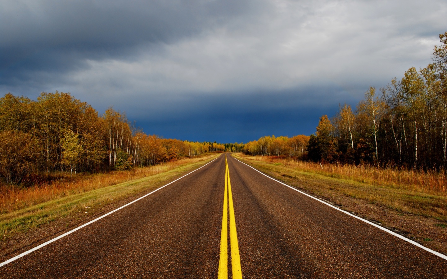 Autumn Road wallpaper 1440x900